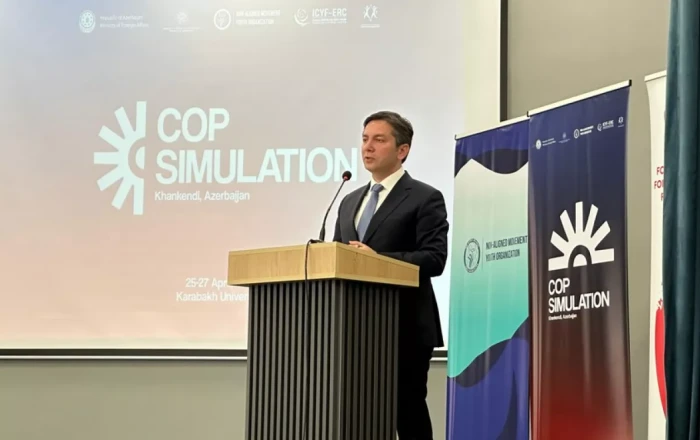 Azerbaijan’s Deputy FM: Climate goals impossible without strong financial support