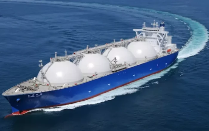 Chief spokesperson: EU may delay final decision on banning Russian LNG