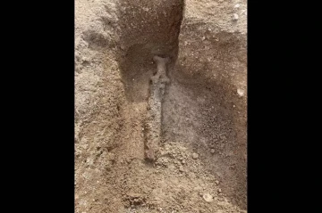Ancient Celtic artifacts unveiled in France after business park dig