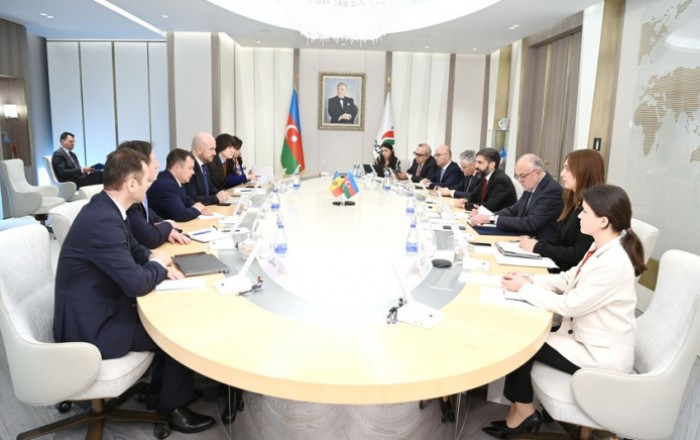 Azerbaijan, Moldova discuss energy trade and cooperation