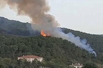 Fire breaks out in Dagestan forest