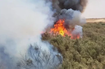 Massive wildfire engulfs Jerusalem Hills, Israel declares maximum alert VIDEO
