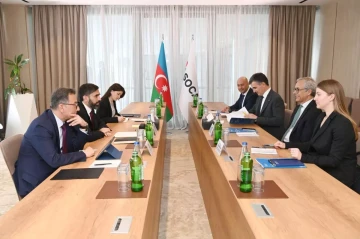 SOCAR, ACWA Power discuss green hydrogen, sustainable energy partnership