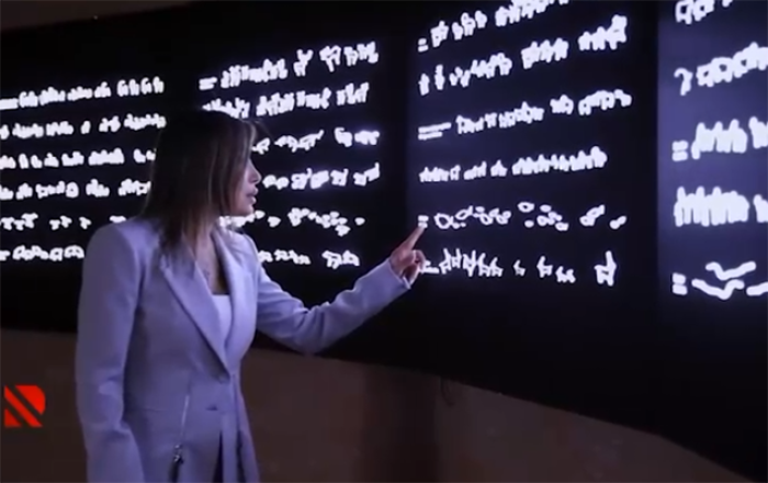 Elnarə Təhməzovanın “Yazı taxtası”... - Video