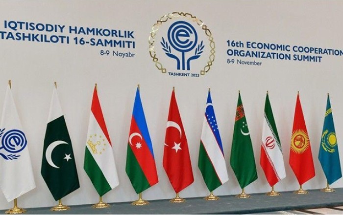 “Ölkəmiz bərpa olunan enerji sahəsində ECO ilə əməkdaşlığa açıqdır”