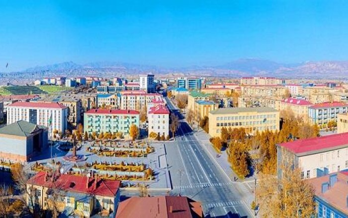 Dələduzluq edən “məmur” saxlanıldı