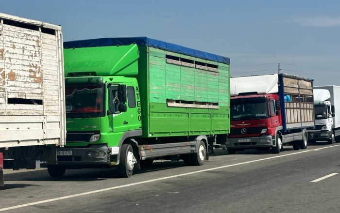 Xocalıya növbəti köç karvanı yola salındı