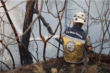 Firefighting efforts intensify as wildfires rage for sixth day in Syria's Latakia