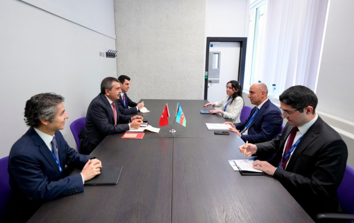 Azerbaijan, Türkiye explore educational cooperation