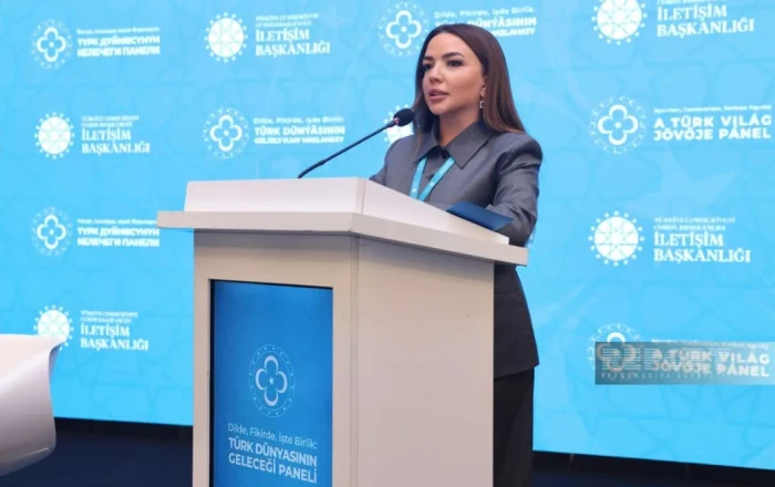 Azerbaijan eyes Zangazur Corridor as gateway to Turkic integration