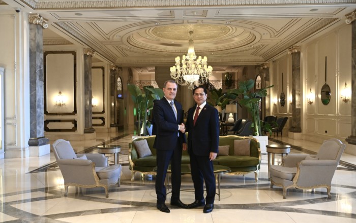 Azerbaijani and Vietnamese FMs discuss international security issues