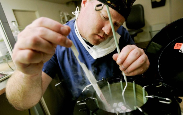 Scientists film the heart forming in 3D earlier than ever before