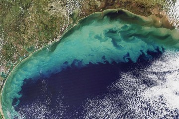 Нижняя палата Конгресса США поддержала переименование Мексиканского залива