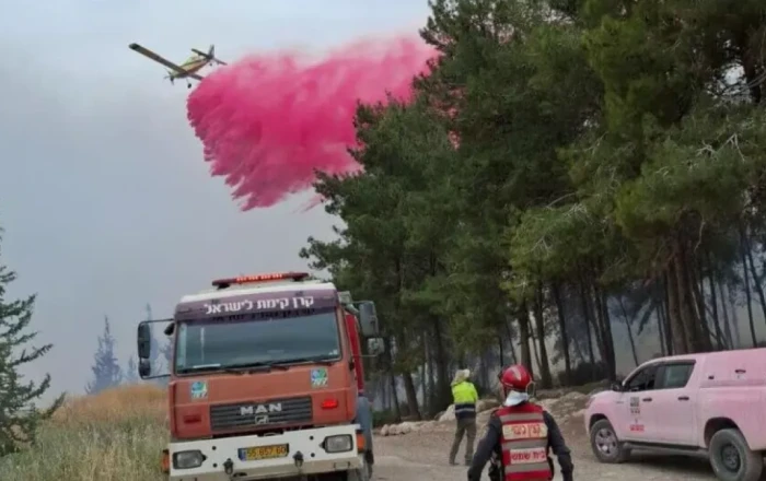 Israeli wildfires not contained, emergency measures intensify