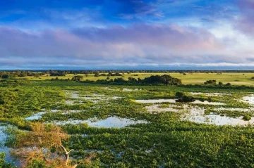 The hidden role of Wetlands in methane emissions and global warming