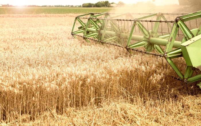 Kazakhstan to embark on major rural dev't projects in 2025