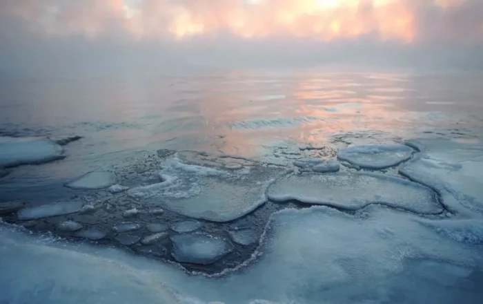 Antarctica gains ice sheet for first time in decades, reversing dangerous trend of mass loss
