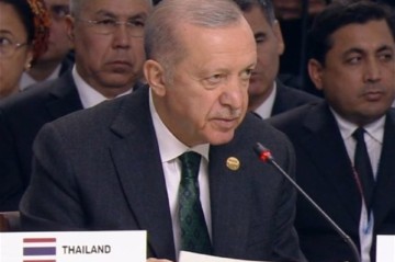 Эрдоган провел телефонный разговор с Путиным и Зеленским