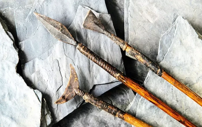 Transformative archaeological discoveries shed light on prehistoric hunting evolution