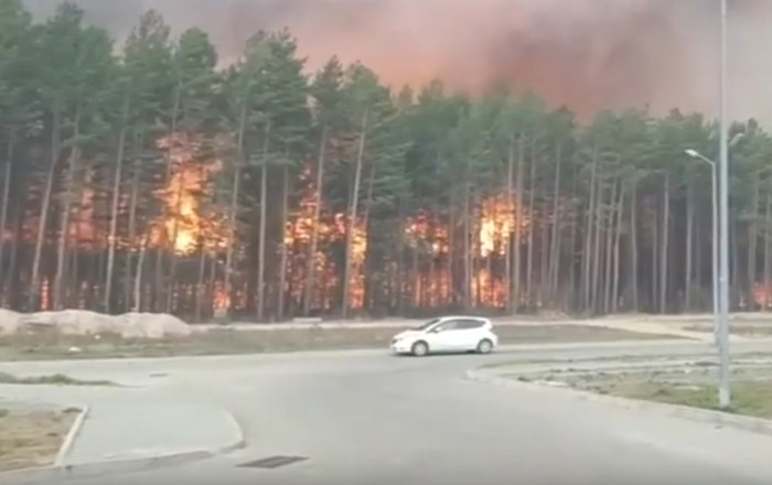 Сильные лесные пожары в России. Огонь подошел к жилым домам видео