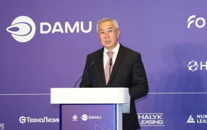 Kazakhstan discloses volume of state support for national business in 2024
