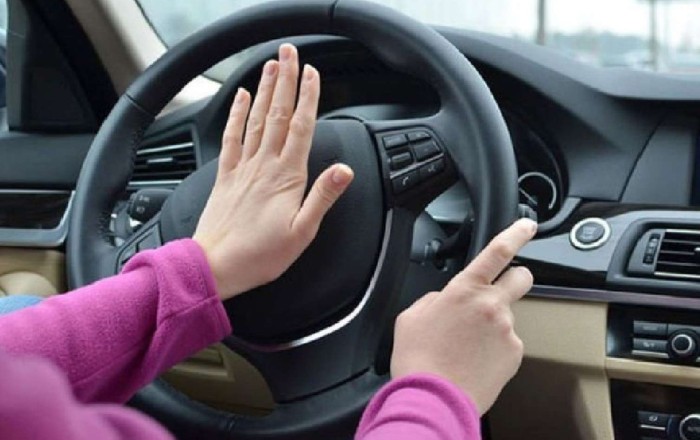 “Porche” ilə "avtoşluq" edən qadın  HƏBS EDİLDİ