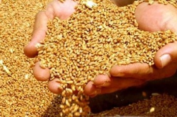 Постановление о ценах на продовольственную пшеницу