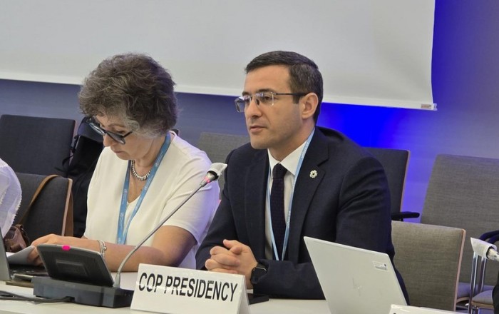 COP29 presidential envoy in Bonn outlines climate change response