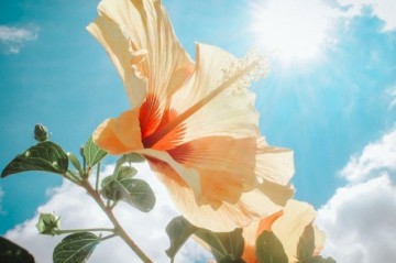 Summer season begins in Azerbaijan on June 21