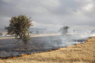 Over 100 forest fires hit Türkiye's Sakarya, Bilecik provinces
