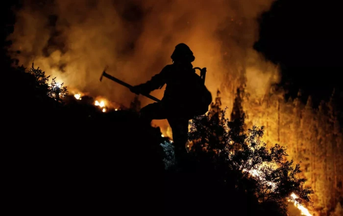 Over 50,000 relocated following forest fires in Türkiye