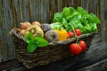 Виновато глобальное потепление: цены на продукты питания будут расти