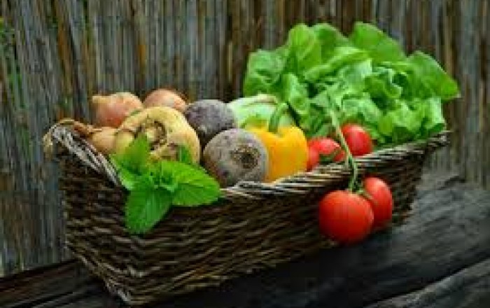 Виновато глобальное потепление: цены на продукты питания будут расти