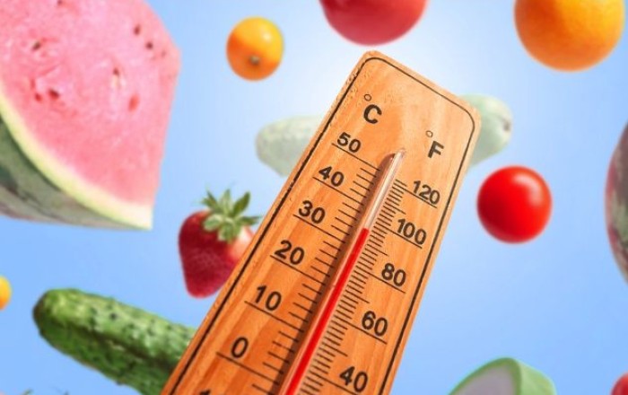 От каких продуктов следует отказаться в жаркую погоду?