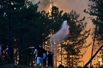 Türkiye brings 55 wildfires under control as one blaze still burns in Bursa