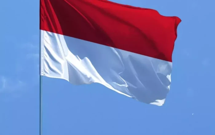 Indonesia to maintain dialogue with US on tariffs, jet purchases, critical minerals