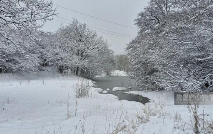 Heavy snow hits Turkiye’s northeast as wildfires rage