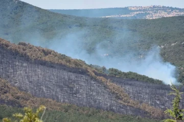 Ten people die while battling forest fire in Türkiye