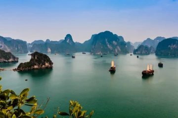 At least 37 dead as tourist boat capsizes in Vietnam's Ha Long Bay
