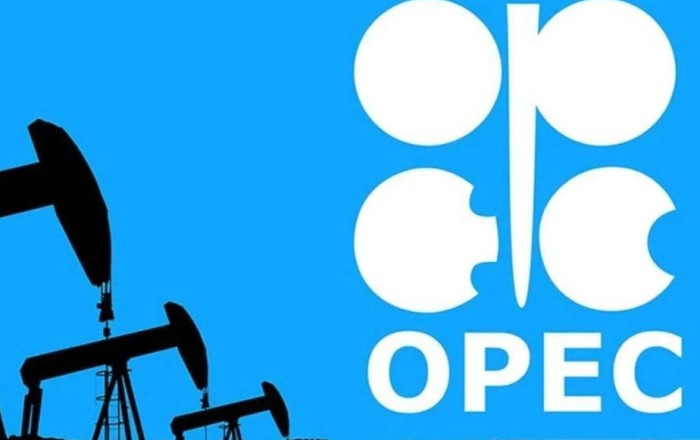 Global oil demand forecasts unchanged for 2025, 2026: OPEC