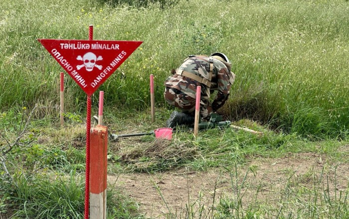 Azerbaijan’s ANAMA reports progress in mine clearance across liberated regions