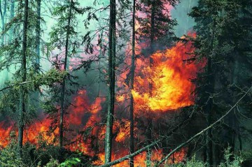 Toxic smoke prompts US air alert