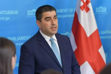 Папуашвили обвинил доноров в поддержке экстремизма