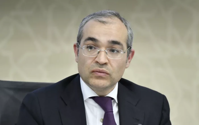 Official: CEPA to boost innovation, investment between Azerbaijan, UAE