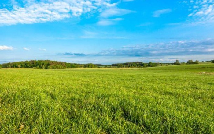 Kyrgyzstan achieves year-on-year growth in grain harvest