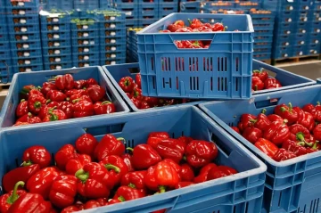Armenia imposes import limits on Iranian agricultural products