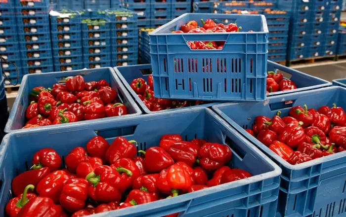 Armenia imposes import limits on Iranian agricultural products