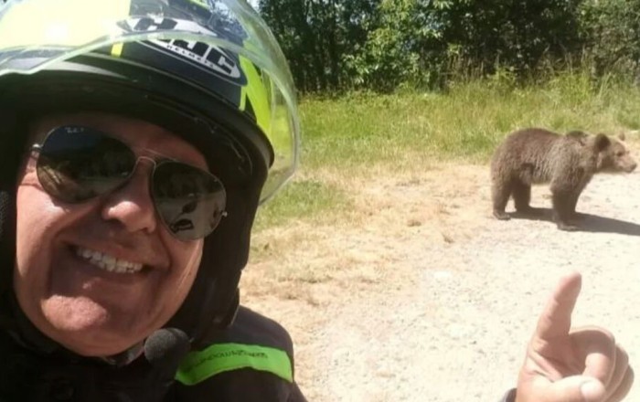 Ayı onunla selfi çəkən turisti öldürdü