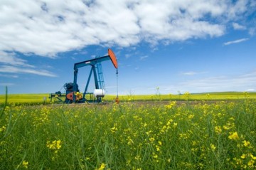 Oil prices fall in global markets