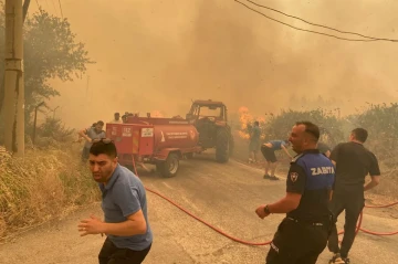 Türkiye battles widespread wildfires, hundreds evacuated in Bursa